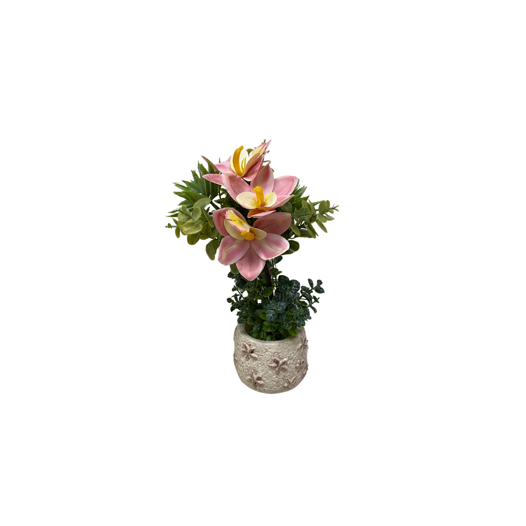 Pétalos rosados y blancos de magnolia | mueblesamerica.cl