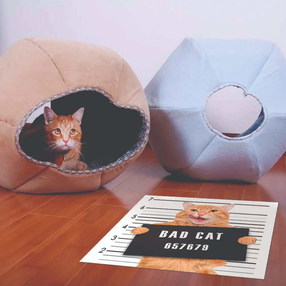 Alfombra Bad Cat