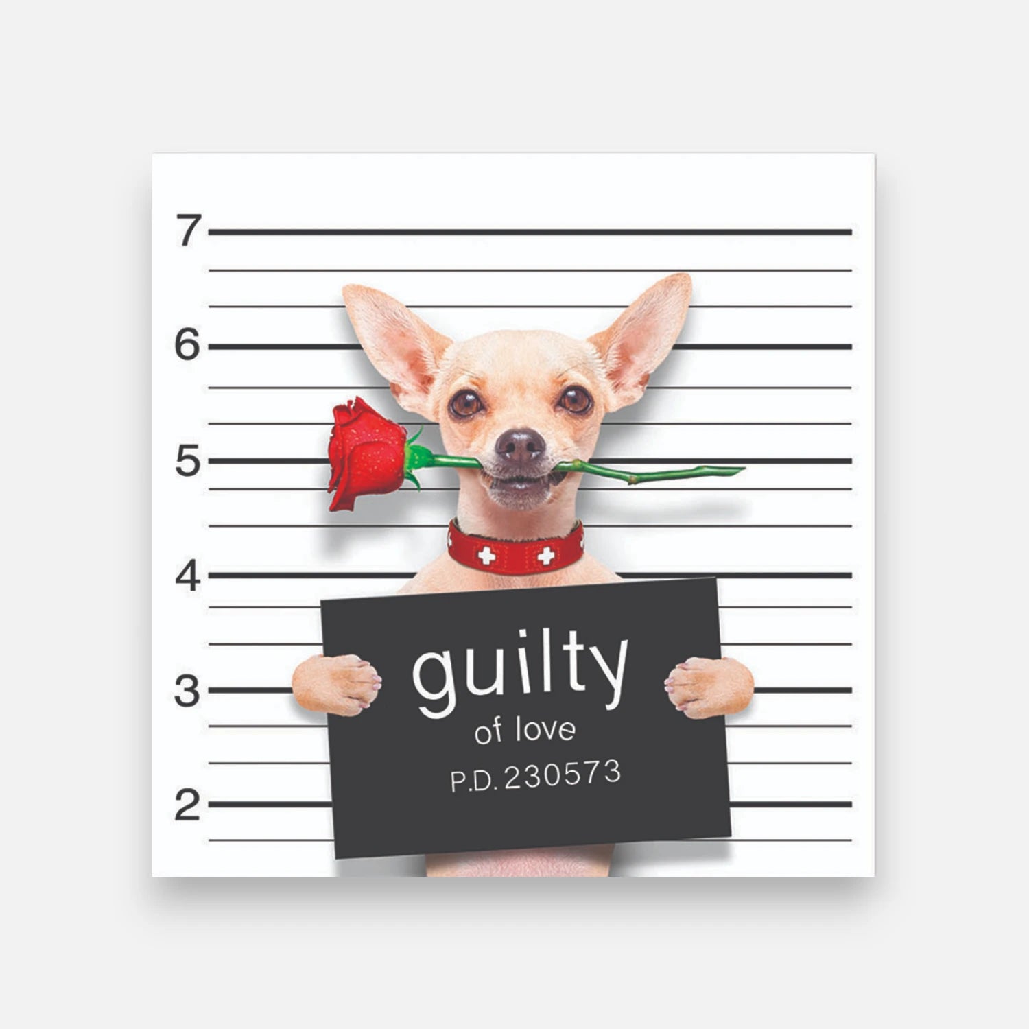 Alfombra Bad Chihuahua In Love