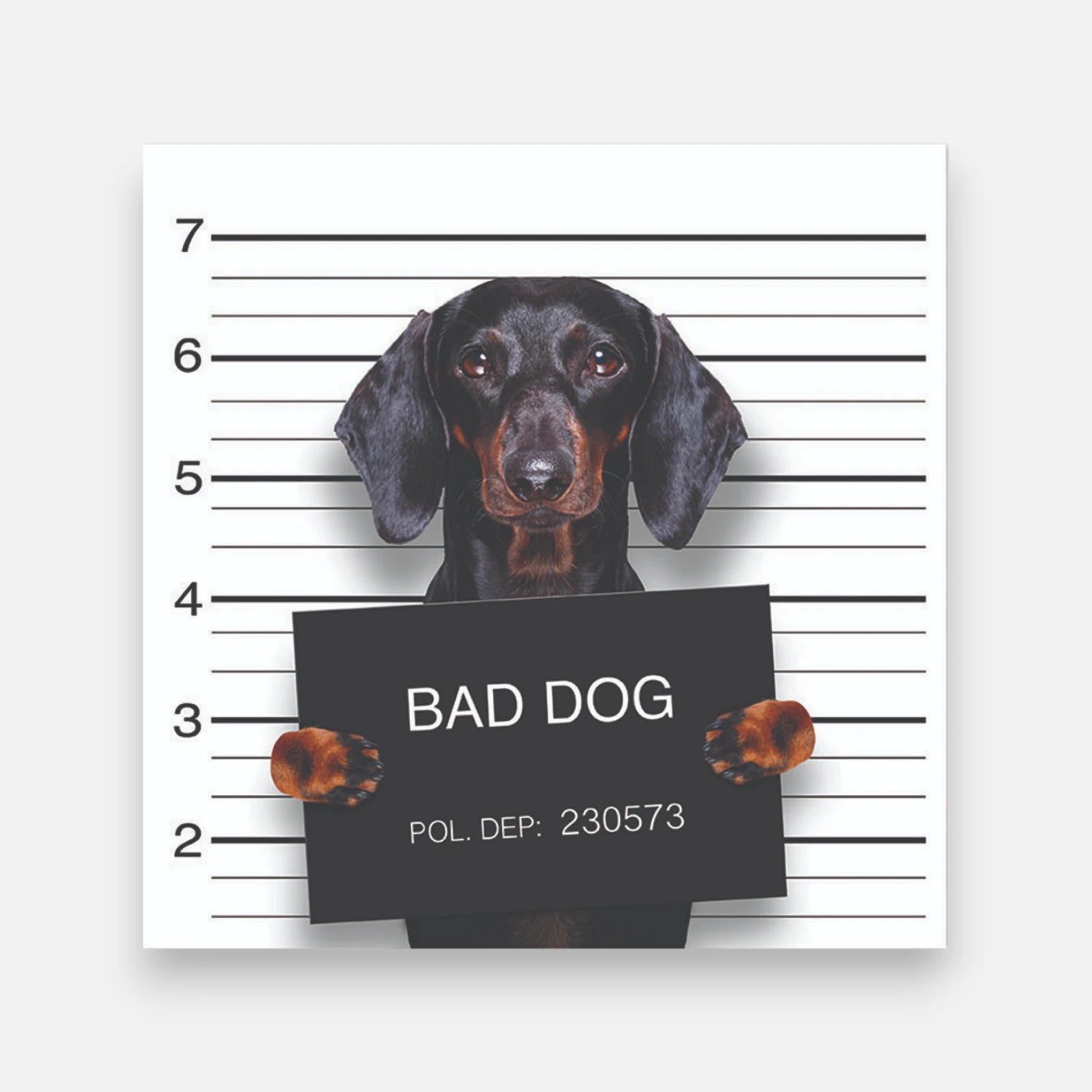 Alfombra Bad Hot Dog