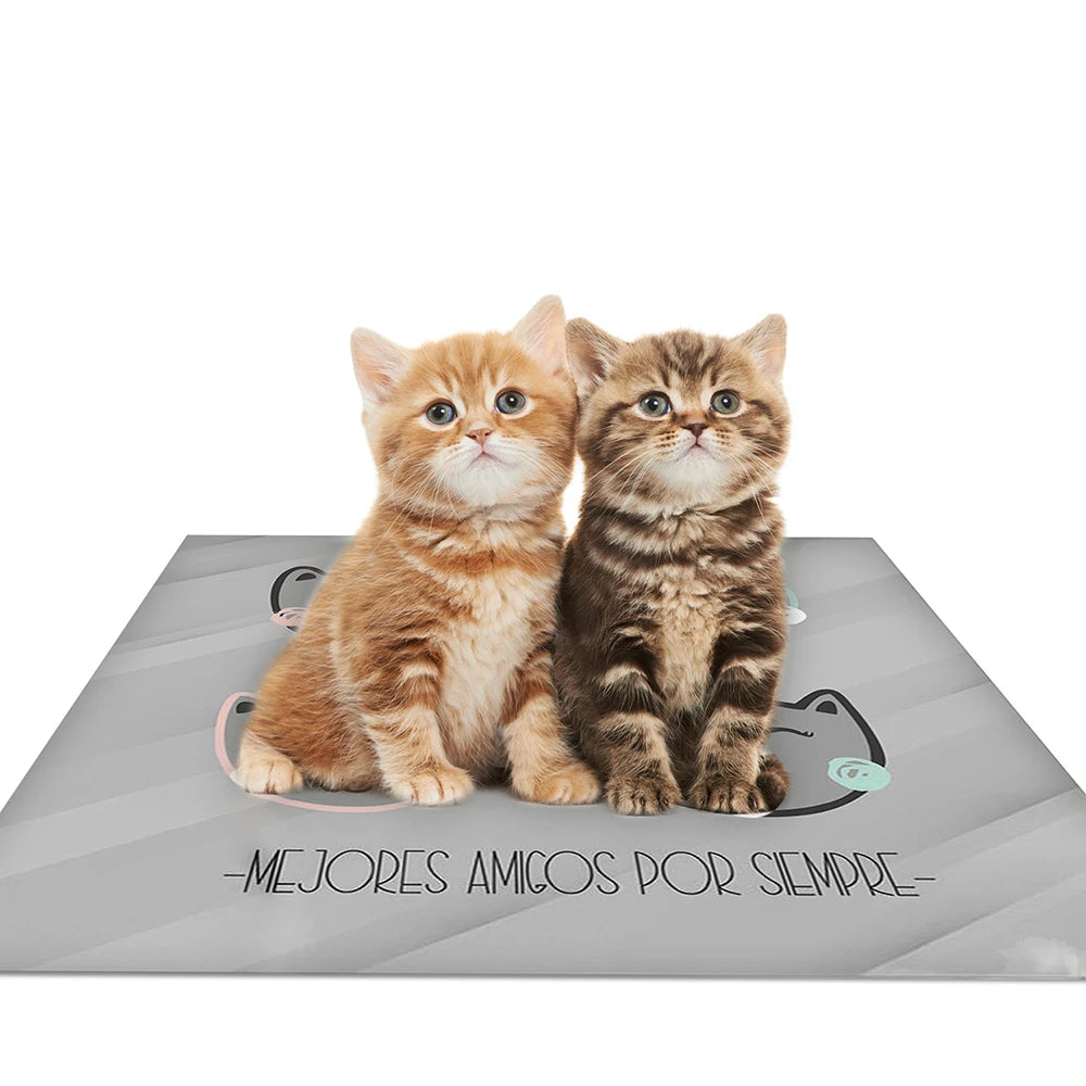 Alfombra Gatitos