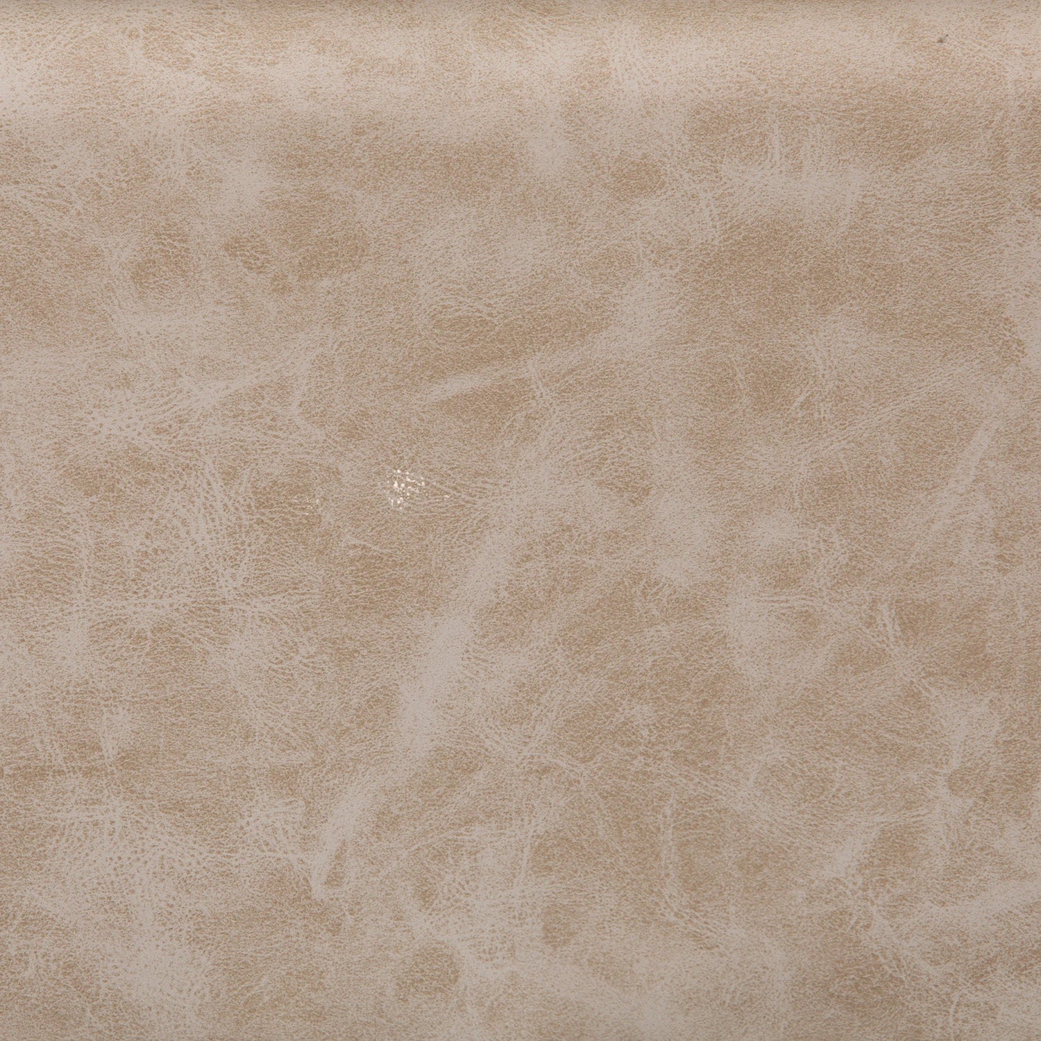 #color_beige