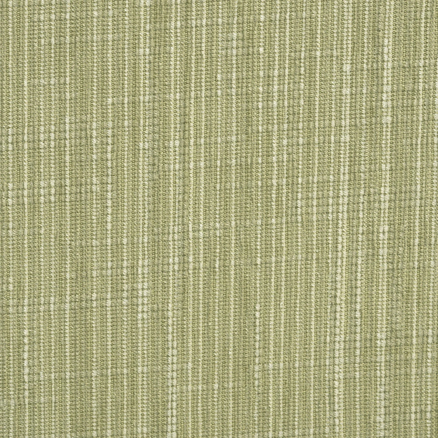 #color_verde musgo