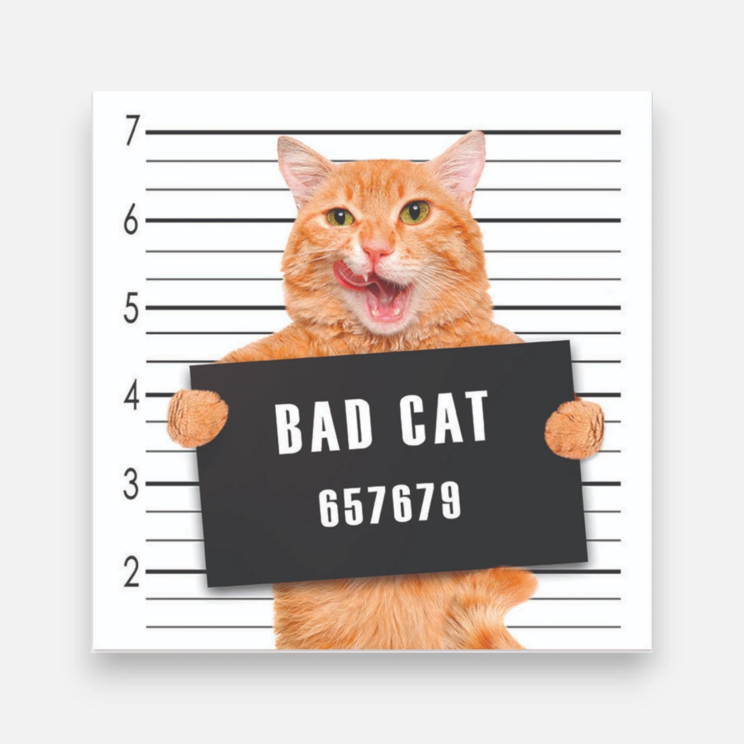 Alfombra Bad Cat