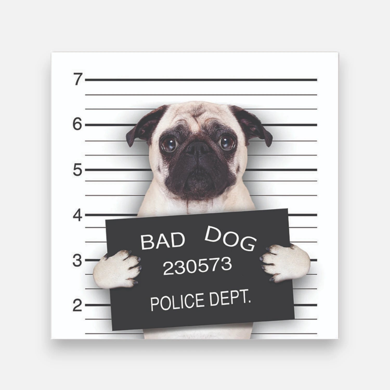 Alfombra Bad Pug