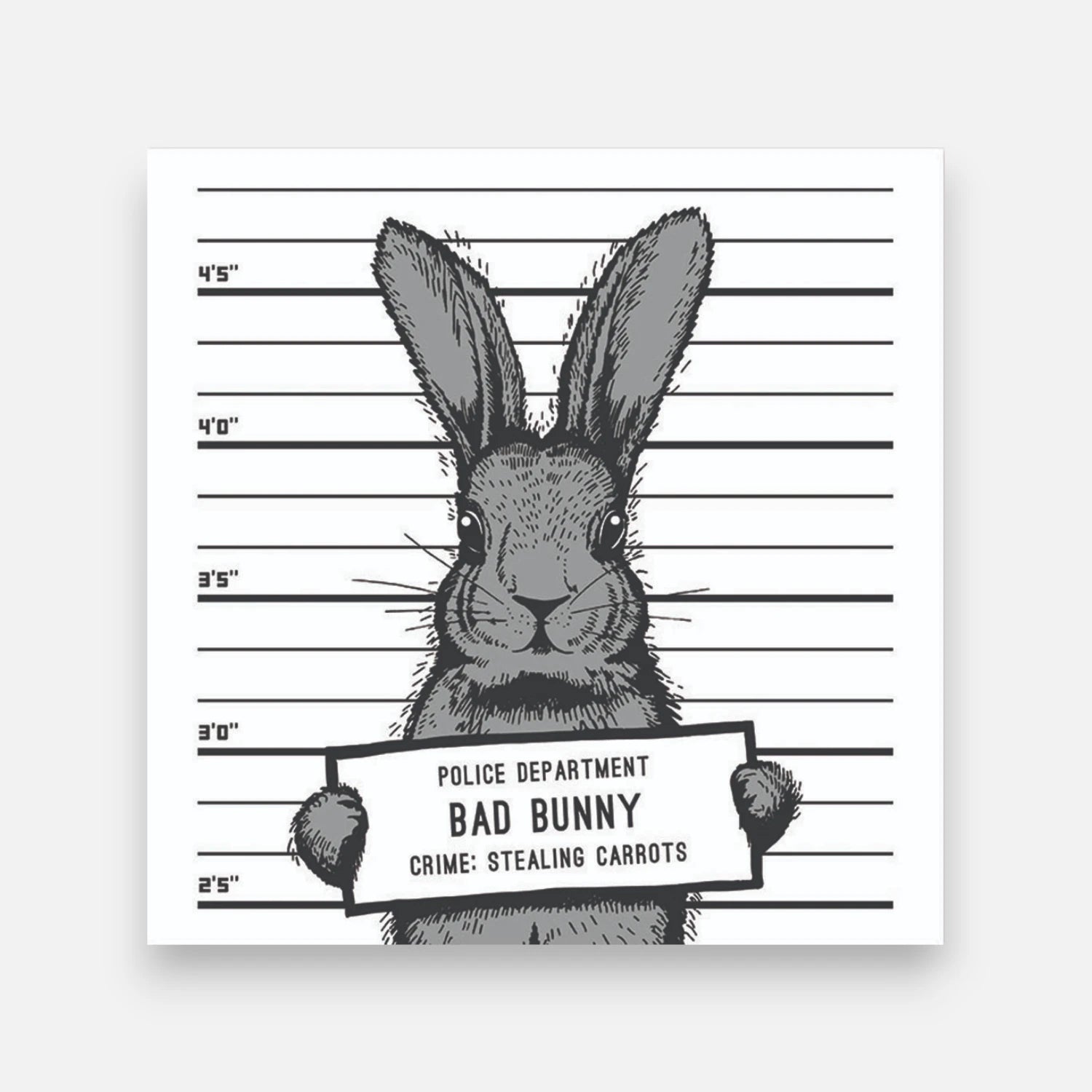 Alfombra Bad Rabbit