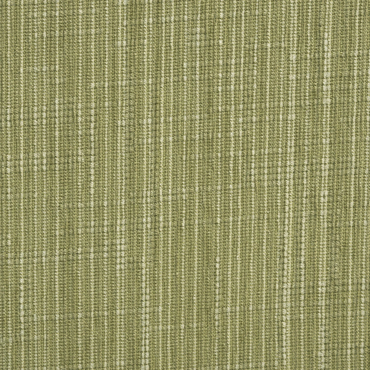 #color_verde musgo